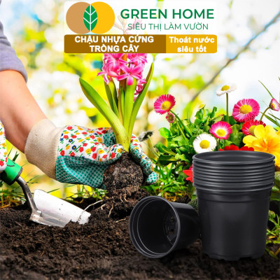 Bộ 3 Chậu nhựa trồng cây, nhiều kích thước, thoát nước tốt, đa dạng kích thước trồng cây, hoa, kiểng lá |Greenhome