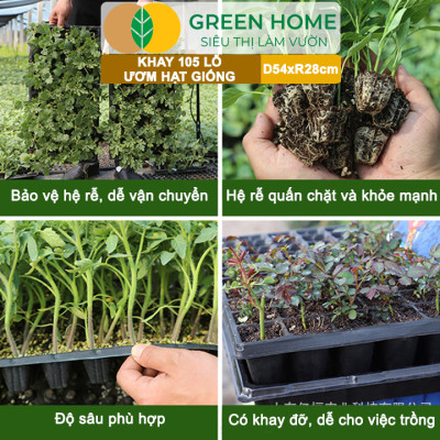 Khay Ươm Hạt Giống Greenhome, 105 Lỗ, Thoáng Rễ, Nảy Mầm Cao, Tiết Kiệm Diện Tích Ươm, Độ Bền Cao