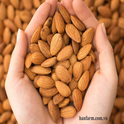 Hạnh nhân sống Mỹ không biến đổi gen nonpareil size 25/27 _ Raw almonds non GMO size 25/27