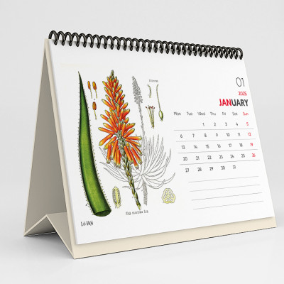 Lịch Bàn 2025 - Desk Calendar Nguyễn Trắc - Wild Flower and Herb