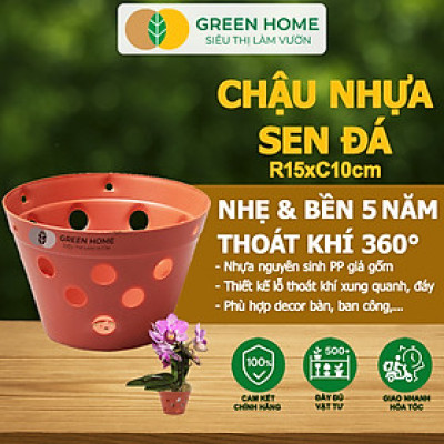 Chậu Trồng Lan Greenhome, R15xC10cm, Nhựa Màu Gốm, Bền, Đẹp, Chống Rơi Vỡ, Thoáng Rễ, Giá Thành Tốt