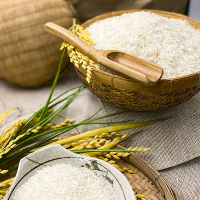 Gạo ST25 Hoa Lúa túi 5kg - Dẻo nhiều, mềm cơm, hương thơm đặc trưng