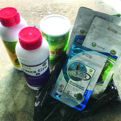 Hấp thụ khí độc ao tôm YUCCA GRO