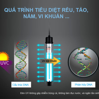 Đèn UV Sterilization King 60W (68cm) Bóng Kép Diệt Tảo Khuẩn Hồ Cá, Nước Thải, Sinh Hoạt