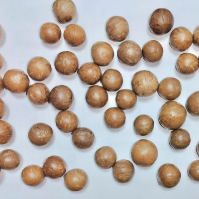 Hạt Macca (Mắc Ca) Rang Oaky Nhập Khẩu Úc – Hũ 250g / 450g – Giàu Dinh Dưỡng, Ăn Liền