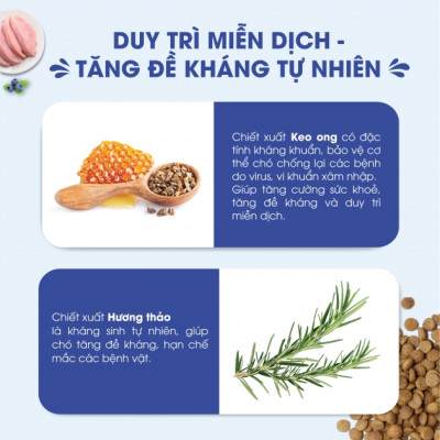 [1KG / 2,4KG  ] - Thức ăn hạt cho chó trưởng thành DOG MANIA ADULT