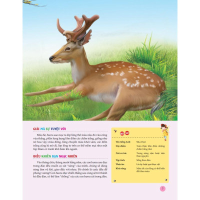 Sách - Bách Khoa Toàn Thư Tìm Hiểu Về Trái Đất - Thế Giới Động Vật - Minh Thắng