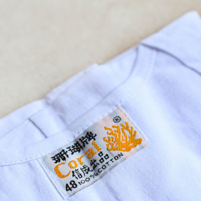 Áo đông xuân có tay/không tay San Hô nam