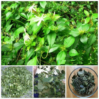 Chè vằng sẻ Tuệ Tâm - Chè vằng lá nhỏ ( Giảm cân lợi sữa, thanh nhiệt mùa hè) - Gói 1kg