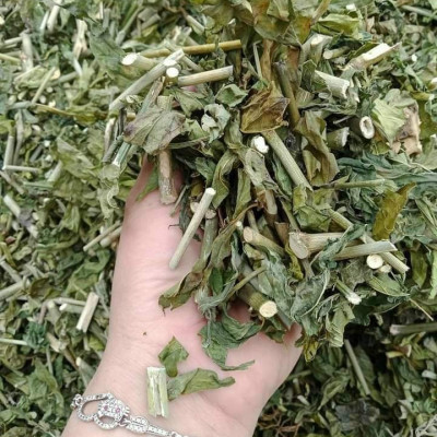 Cây xương khỉ (Cây bìm bịp - Cây mảnh cộng)  - Sản phẩm khô về làm trà ( Gói 500gr)