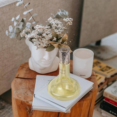 Maison Berger - Bộ đèn xông tinh dầu Starck Verte - 2 món - 380ml