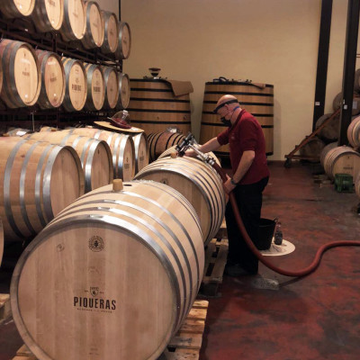 Rượu Vang Organic hữu cơ Castillo de Almansa Coleccion Garnacha Tintorera (Tây Ban Nha) kèm túi giấy,đồ khui