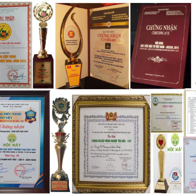 Tinh dầu Quế 10ml nguyên chất từ thiên nhiên - Mộc Mây