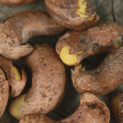 Combo Hạt Điều Rang Muối Vỏ Lụa Hải Long (250g /Hũ) + Mứt Gừng Nướng Mật Ong Hải Long (120g)